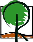 Baumkontrolle Rottenburg, Thomas Rein Baumpflege, Rein Dienstleistung